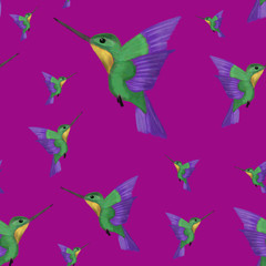 Watercolor humming bird/colibri on violet background. Seamless pattern. Exotic summer print. Packaging, stationery, beach, packaging, wallpaper, textile design