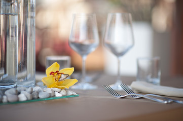 Butterfly at the table