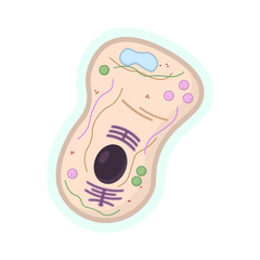 Human cell icon. Isolated vector illustration on a white background.