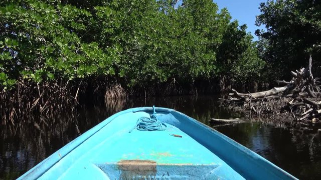 Mexico, Oaxaca, Ventanilla, boat slowly proceeding in the lagoon, place of ecotourism, nature and wildlife animals