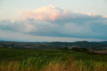 Landscape in Tuscany at sunset in summer - Tuscany, Italy, Europe