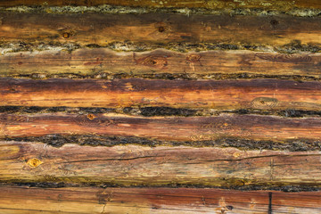 Background from old logs of a wooden house.