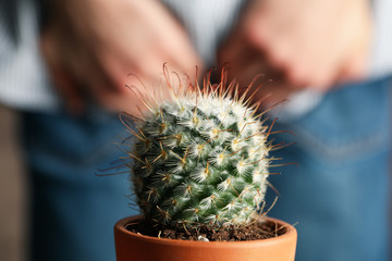 Cactus in pot against man in jeans holds his ass, close up. Hemorrhoids