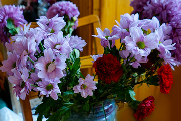 Flowers purple chrysanthemums, red cloves and daisies.
