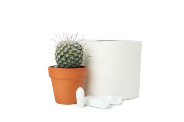 Toilet paper, candles and cactus isolated on white background
