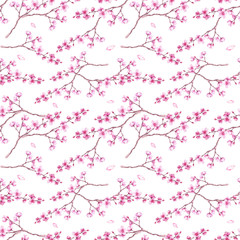  Watercolor seamless pattern with cherry blossoms. Sakura background.