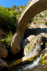 Fototapeta na wymiar Bridge in the Bucatoggio canyon. Corsica mountain