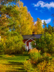 cottage in autumn forest