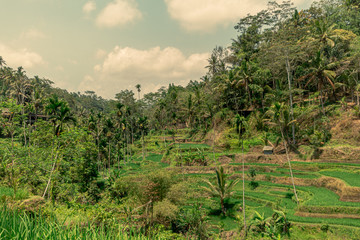 view of a mountain landscape