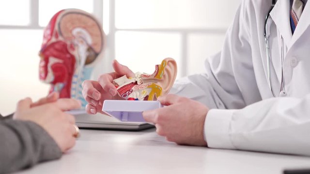 A medical professional doctor wearing a white lab coat and a stethoscope is explaining to his patient the function of the ear canal while holding a human ear anatomy model