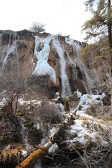 Fototapeta na wymiar frozen waterfall with mossy rocks in a national park in Sichuan, China
