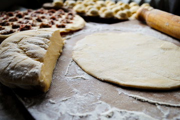 Homemade dumplings, cooking. Dough on a wooden board.