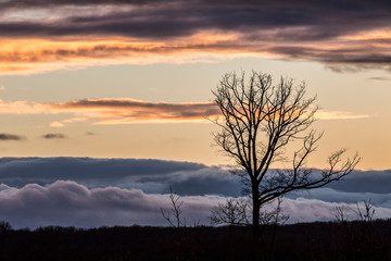 Bourbonnais,Campagne