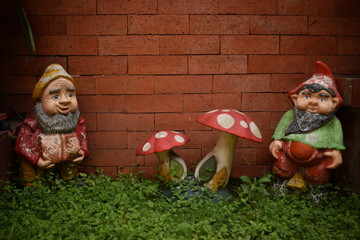 Gnomes in the garden