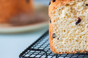 Kulich or brioche cutted festive sweet bread.