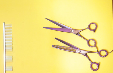 hairdressing scissors on a color background
