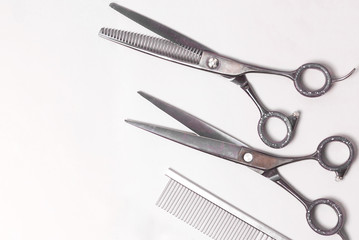 hairdressing scissors on a white background