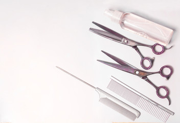 hairdressing scissors on a white background