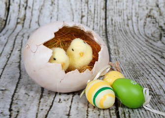 easter eggs in a nest
