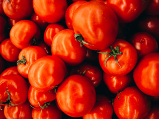 Lot of red tomatoes photographed close.