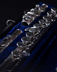 Signet Selmer Special Sterling Silver Flute with Blue Crushed Velvet Hard Case keys close up © Zach