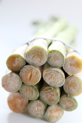 Asperge