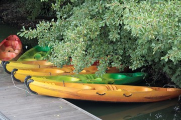 Kayak