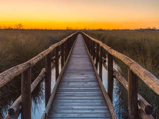 Fototapeta premium Sunset in Massaciuccoli, Tuscany, Italy