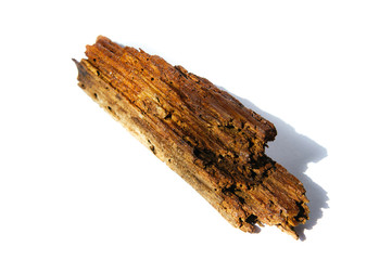 Beautiful broken old bog wood