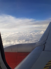 airplane wing of plane