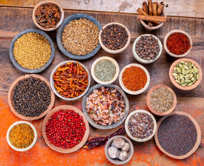 Indian spices collection, dried colorful condiment, nuts, pods and seeds and another spices in clay bowls