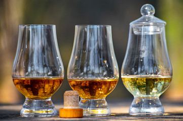 Tasting of scotch single malt whisky from Islay island, most intensely flavoured of all whiskies in Scotland