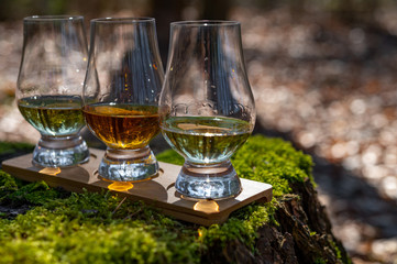 Tasting of scotch single malt whisky from Islay island, most intensely flavoured of all whiskies in Scotland