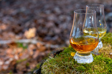 Tasting of scotch single malt whisky from Islay island, most intensely flavoured of all whiskies in Scotland