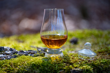 Tasting of scotch single malt whisky from Islay island, most intensely flavoured of all whiskies in Scotland