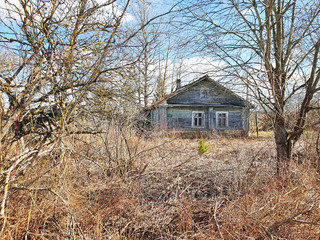 dilapidated abandoned village house through branches of overgrown trees and garden, on a sunny day