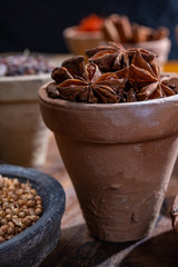 Indian spices collection, dried aromatic star anise and another spices in clay bowls
