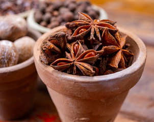 Indian spices collection, dried aromatic star anise and another spices in clay bowls