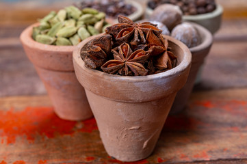 Indian spices collection, dried aromatic star anise and another spices in clay bowls