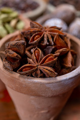 Indian spices collection, dried aromatic star anise and another spices in clay bowls