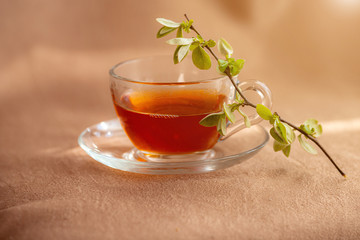 glass cup of tea by the window with green young branches