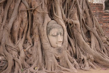 statue of buddha in Mahathat temple, Ayutthaya, Thailand
