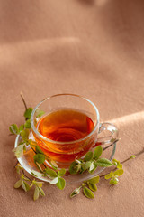 glass cup of tea by the window with green young branches