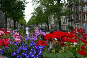 Flowers on the canal 