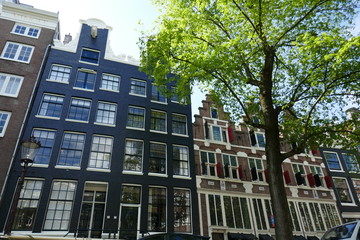 Archetypal Amsterdam 