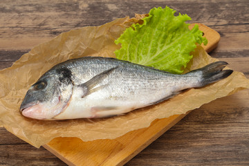 Raw Dorada fish  for cooking