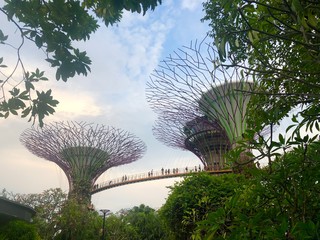 Gardens by the Bay
