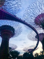 Gardens by the Bay at sunset 