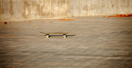 A skateboard stands alone on a stone block in a skatepark in the autumn sunset sunlight