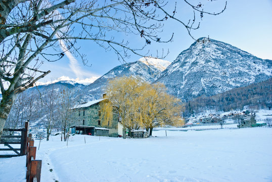 Winter landscape
